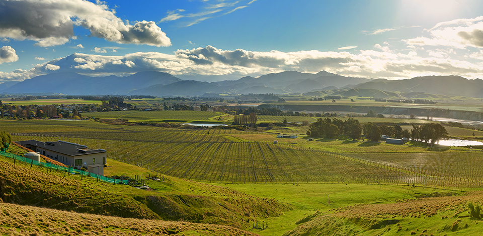 Awatere-Valley